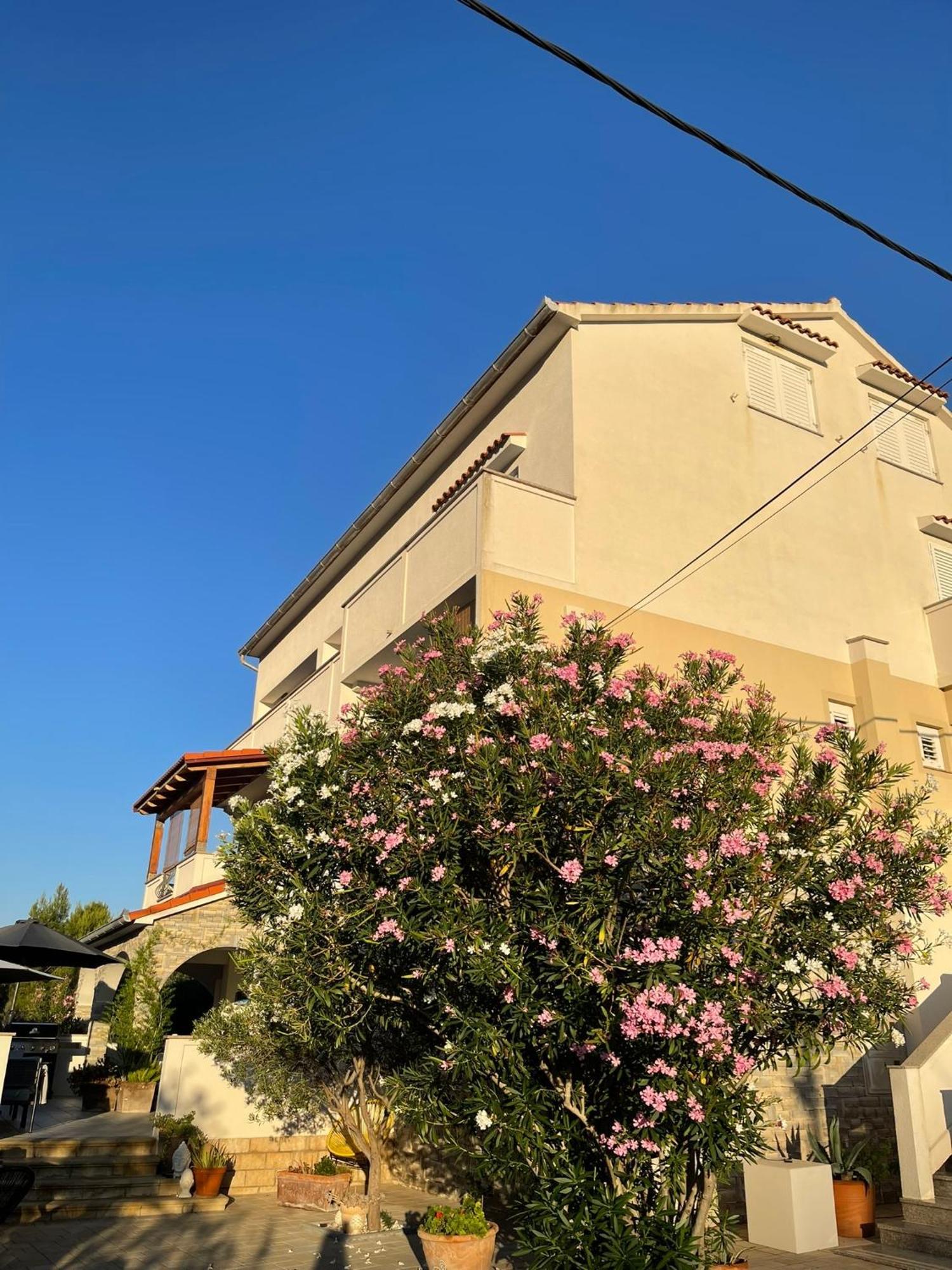 Casa Fumica Rooms Palit Dış mekan fotoğraf